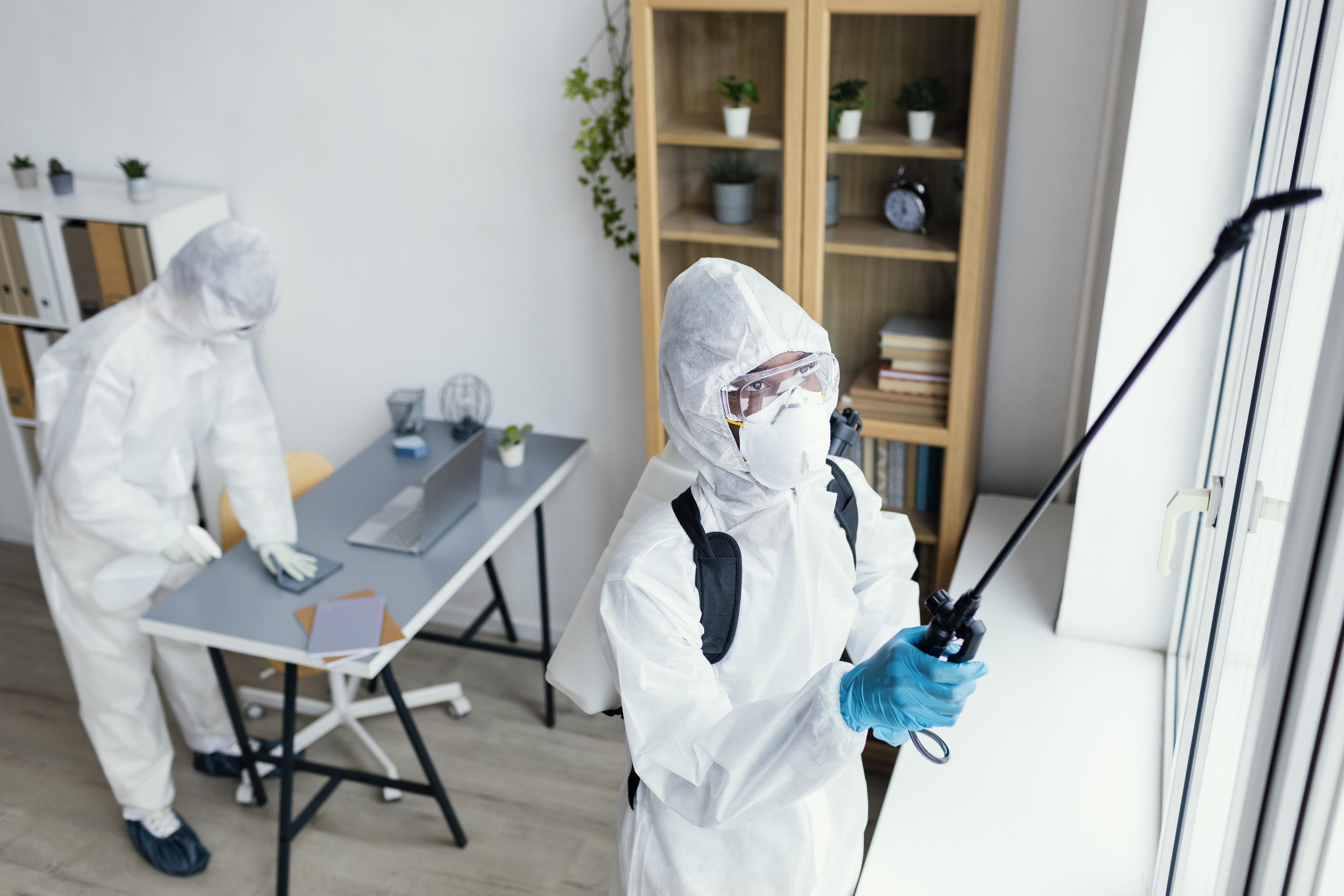 Bugged Out Sydney Pest Control Professionals